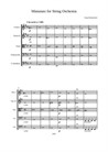 Miniature for String Orchestra - Full Score